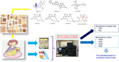 Mycotoxin Occurrence In Breast Milk And Exposure Estimation Of Lactating Mothers Using Urinary Biomarkers In Sao Paulo Brazil Environmental Pollution X Mol