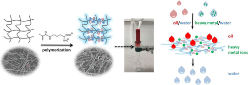 Multipurpose Zwitterionic Polymer-Coated Glass Fiber Filter For ...