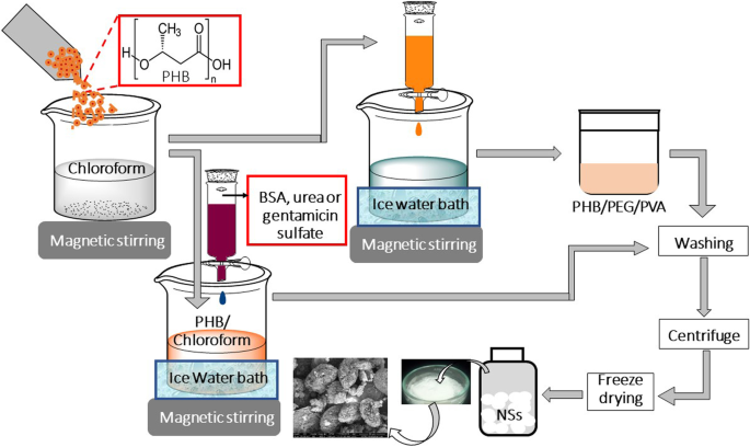 Pegylation Of Poly Hydroxybutyrate Into Multicomponent Nanostructures And Loading Thereon With Bioactive Molecules For Potential Biomedical Applications Journal Of Polymer Research X Mol