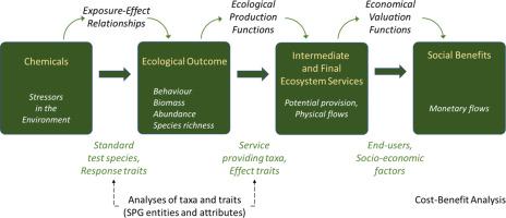 Identifying Ecological Production Functions For Use In Ecosystem Services Based Environmental Risk Assessment Of Chemicals Science Of The Total Environment X Mol