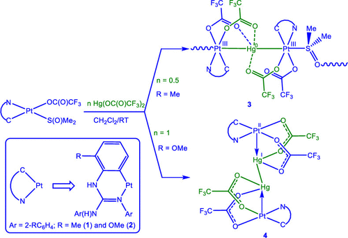 Reactions Of Cycloplatinated Guanidine Complexes With Hg Oc O Cf3 2 Formation Of A One Dimensional Coordination Polymer Containing A Pt2hg M2 S O Me2 S O Repeating Unit Versus A Discrete Pt2hg2 Complex Inorganic Chemistry X Mol