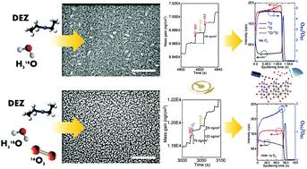 Elucidating The Growth Mechanism Of Zno Films By Atomic Layer Deposition With Oxygen Gas Via Isotopic Tracking Journal Of Materials Chemistry C X Mol