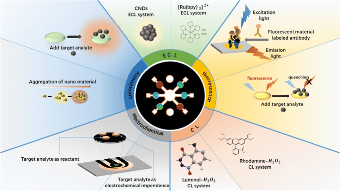 Strategies For The Detection Of Target Analytes Using Microfluidic ...