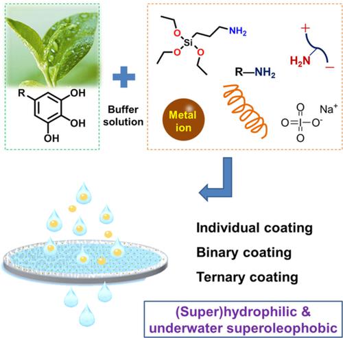 Recent Advances In Membrane Hydrophilic Modification With Plant Polyphenolinspired Coatings For