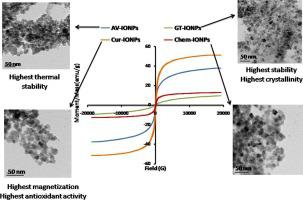 Thermal Stability Paramagnetic Properties Morphology And Antioxidant Activity Of Iron Oxide Nanoparticles Synthesized By Chemical And Green Methods Inorganic Chemistry Communications X Mol