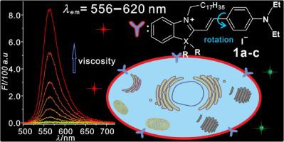 基于半花青染料的黏性敏感荧光染料 具有出色的光稳定性 可靶向细胞膜 Sensors And Actuators B Chemical X Mol