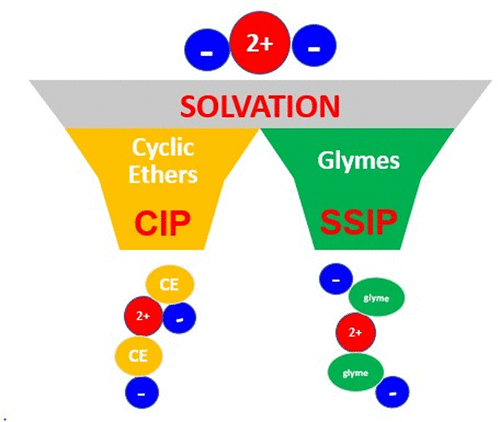 Factors Influencing Preferential Anion Interactions During Solvation Of Multivalent Cations In Ethereal Solvents The Journal Of Physical Chemistry C X Mol