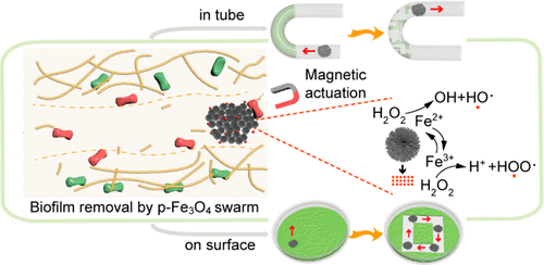 Magnetic Microswarm Composed Of Porous Nanocatalysts For Targeted Elimination Of Biofilm Occlusion Acs Nano X Mol