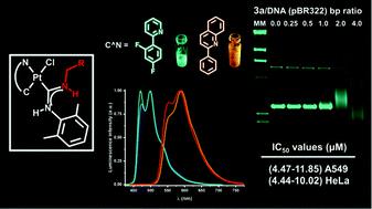 Luminescent Cyclometalated Platinum Ii Complexes With Acyclic Diaminocarbene Ligands Structural Photophysical And Biological Properties Dalton Transactions X Mol