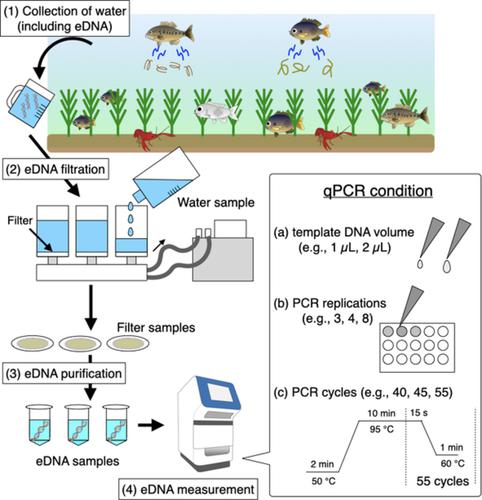 Compilation Of Real Time Pcr Conditions Toward The Standardization Of Environmental Dna Methods Ecological Research X Mol