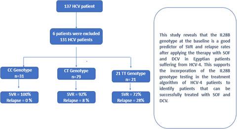 Association Between Interleukin 28b Polymorphism And Sustained Virological Response To Sofosbuvir Plus Daclatasvir In Chronic Hepatitis C Genotype 4 Egyptian Patients Journal Of Clinical Pharmacy And Therapeutics X Mol