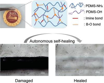 Self‐Healable And Transparent Elastomers Based On Dual Reversible ...