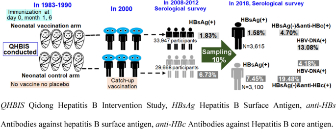 Neonatal Hepatitis B Vaccination Protects Mature Adults From Occult ...