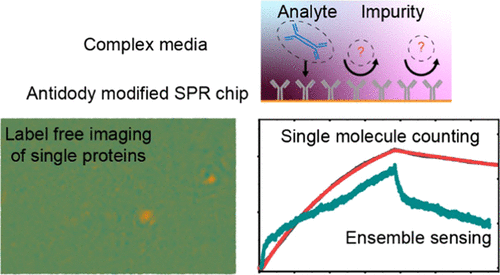 Quantification Of Single-Molecule Protein Binding Kinetics In Complex ...