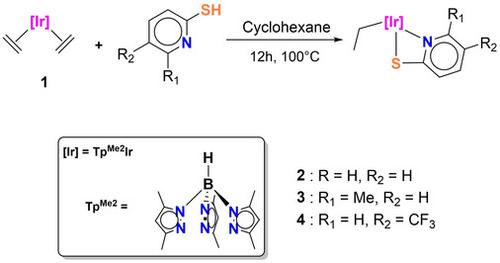 Reactivity Of 2 Mercaptopyridines With Iridium I Tris Pyrazolyl Borate Complexes European Journal Of Inorganic Chemistry X Mol