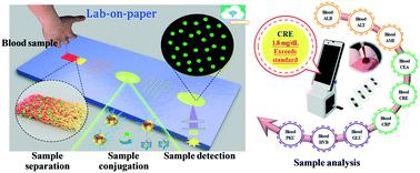 使用血液样本的纸上实验室诊断设备的最新进展 Lab On A Chip X Mol