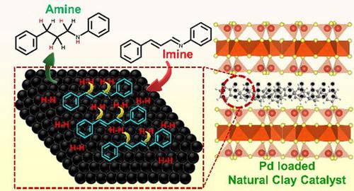 温和条件下可持续的钯插层蒙脱土粘土催化亚胺加氢 Chempluschem X Mol