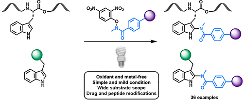 Late-Stage Photoredox C–H Amidation of N-Unprotected Indole Derivatives ...