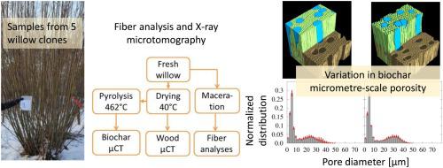 原料结构特性的定量分析可帮助生产具有均匀孔隙系统的柳树生物炭 Industrial Crops And Products X Mol