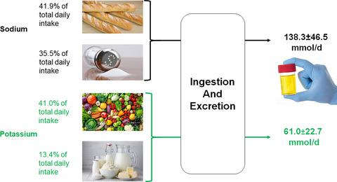 突尼斯成年人中钠和钾的摄入量不平衡 一项横断面研究 Food Science Nutrition X Mol