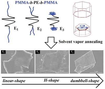 Hierarchical Self Assembly Of Polyethylene Midblock Copolymers In Hot Steam Key Role Of Crystalline And Topological Structure Macromolecular Chemistry And Physics X Mol