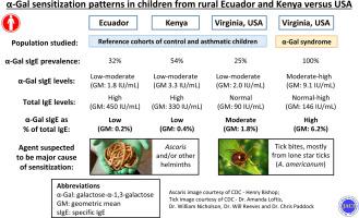 A Gal Specific Ige Prevalence And Levels In Ecuador And Kenya Relation To Diet Parasites And Igg4 Journal Of Allergy And Clinical Immunology X Mol