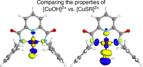 Sulfur Containing Analogues Of The Reactive Cuoh 2 Core Inorganic Chemistry X Mol