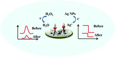 A Dual Mode Label Free Electrochemical Immunosensor For Ultrasensitive Detection Of Procalcitonin Based On G C3n4 Nico2s4 Cnts Ag Nps Analyst X Mol