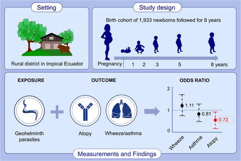Impact Of Early Life Geohelminths On Wheeze Asthma And Atopy In Ecuadorian Children At 8 Years Allergy X Mol