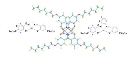 Study Of Aggregation Of O N N O Pt Ii Complexes In Solution Journal Of Molecular Liquids X Mol