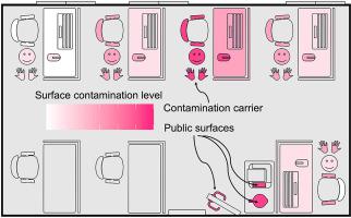 Quantification Of Lactobacillus Delbrueckii Subsp Bulgaricus And Its Applicability As A Tracer For Studying Contamination Spread On Environmental Surfaces Building And Environment X Mol