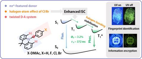 Realize Efficient Organic Afterglow From Simple Halogenated Acridan Derivatives Chemical Engineering Journal X Mol