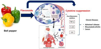 Suppression Of Cytokine Production By Newly Isolated Flavonoids From Pepper Fitoterapia X Mol