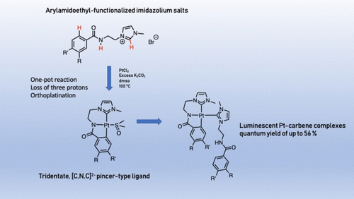 Arylamidoethyl Functionalized Imidazolium Salts Precursors For Dianionic C N C 2 Carbene Ligands At A Platinum Center Organometallics X Mol