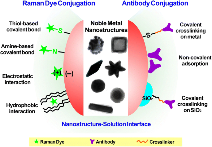 Interfacial Interactions Of SERS-active Noble Metal Nanostructures With ...