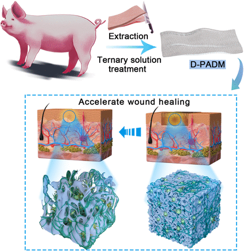 Use Of Acellular Dermal Matrices In Breast Reconstruction