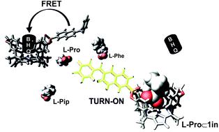 Supramolecular Fluorescence Sensing Of L Proline And L Pipecolic Acid Organic Chemistry Frontiers X Mol