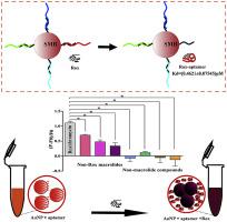 Preparation And Characterization Of Dna Aptamers Against Roxithromycin Analytica Chimica Acta X Mol