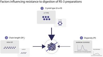 Digestibility Of Resistant Starch Type 3 Is Affected By Crystal Type Molecular Weight And Molecular Weight Distribution Carbohydrate Polymers X Mol