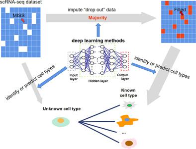 Potential Applications Of Deep Learning In Single‐cell RNA Sequencing ...