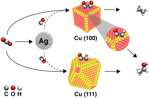 Elucidating The Facet-Dependent Selectivity For CO2 Electroreduction To ...