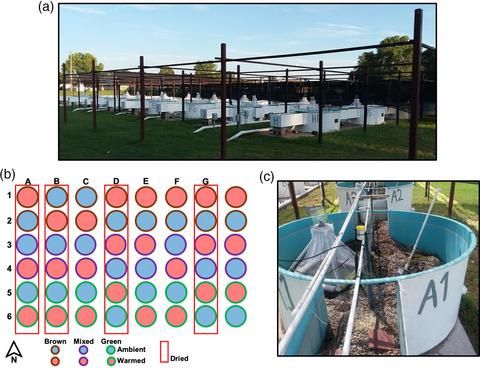 能量途径调节河流无脊椎动物群落对干旱的恢复能力 Journal Of Animal Ecology X Mol