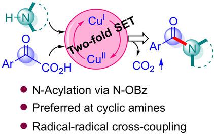 Catalytic N‐Acylation Of Cyclic Amines By Arylglyoxylic Acids Via ...