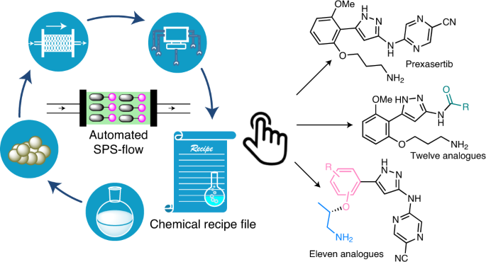 Automated Synthesis Of Prexasertib And Derivatives Enabled By ...