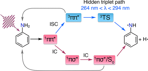 Role Of Triplet States In The Photodynamics Of Aniline Journal Of The American Chemical Society X Mol