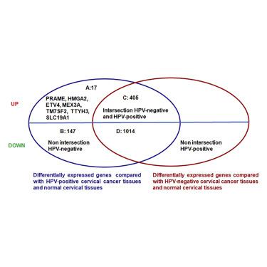 Discovery Of Key Genes As Novel Biomarkers Specifically Associated With Hpv Negative Cervical Cancer Molecular Therapy Methods Clinical Development X Mol