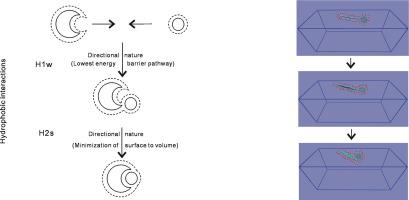 Directional Nature Of Hydrophobic Interactions Implications For The Mechanism Of Molecular Recognition Chemical Physics X Mol