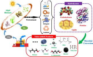 Emerging Technologies For Conversion Of Sustainable Algal Biomass Into Value Added Products A State Of The Art Review Science Of The Total Environment X Mol