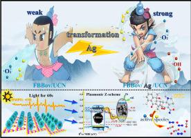 Hierarchical Defect Rich Flower Like Biobr Ag Nanoparticles Ultrathin G C N With Transfer