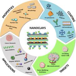 Emerging Role Of Nanoclays In Cancer Research, Diagnosis, And Therapy ...